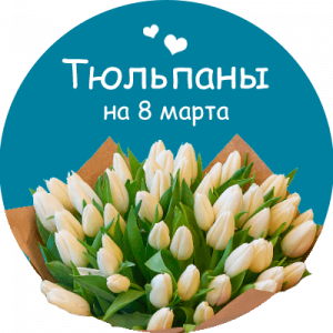Купить тюльпаны в Североморске